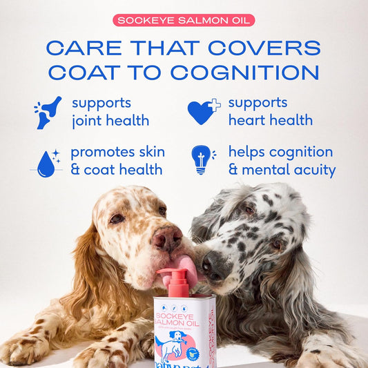Native Pet Salmon Oil for Dogs & Cats – Pure Omega-3 Fish Oil for Dogs Supplement for Skin & Coat, Joint & Heart Health - Dog Anti-Inflammatory – 100% Wild-Caught Alaskan Sockeye Salmon – 8 oz - USA IMPORT -