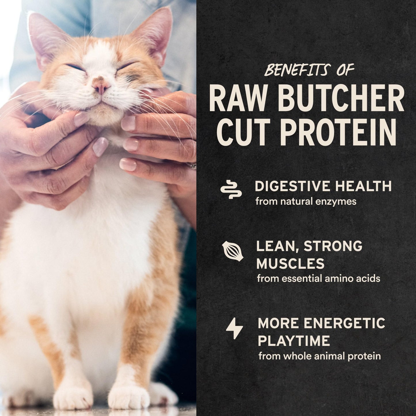 Vital Essentials Freeze-Dried Raw Cat Treats, Minnows Treats, 0.5 oz