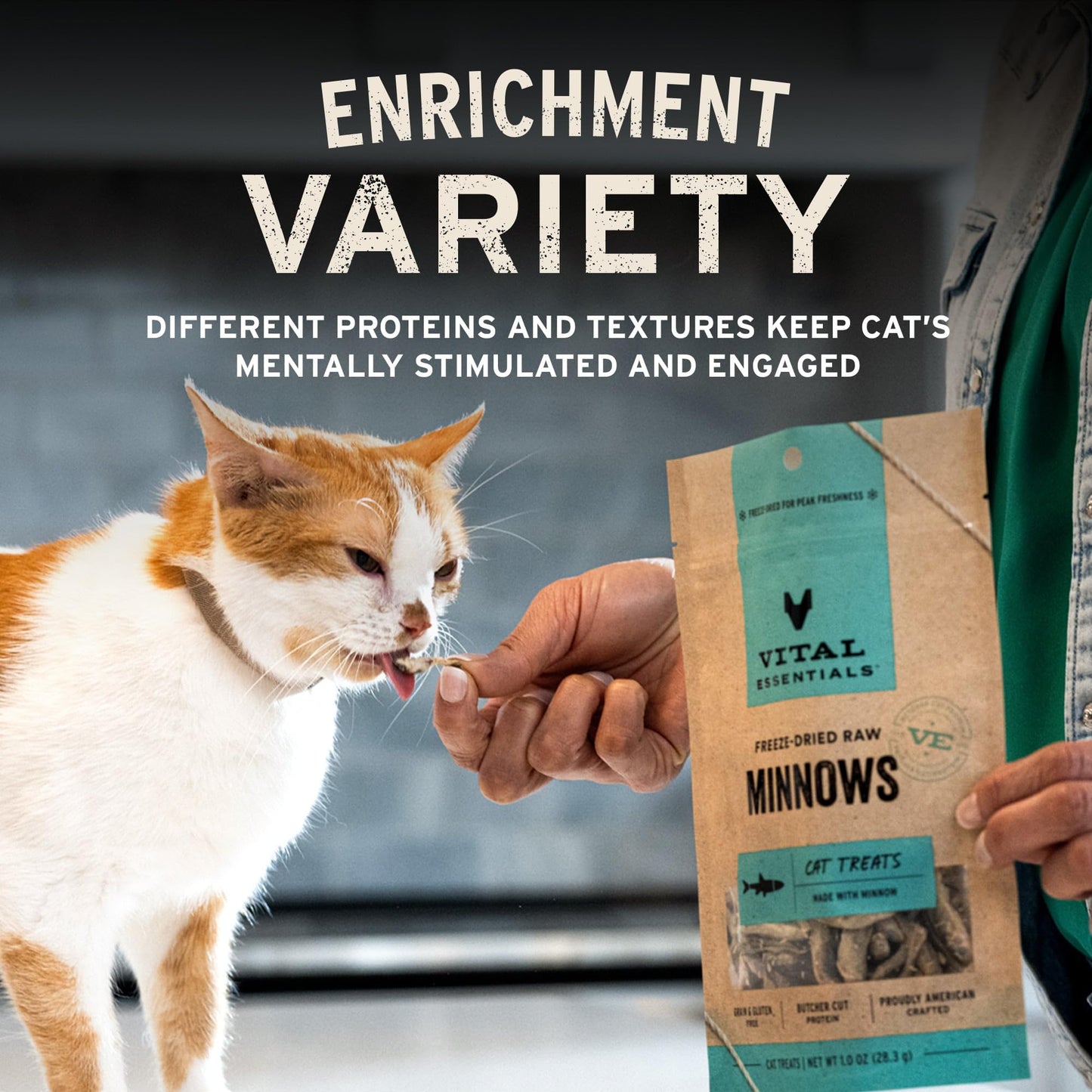 Vital Essentials Freeze-Dried Raw Cat Treats, Minnows Treats, 0.5 oz