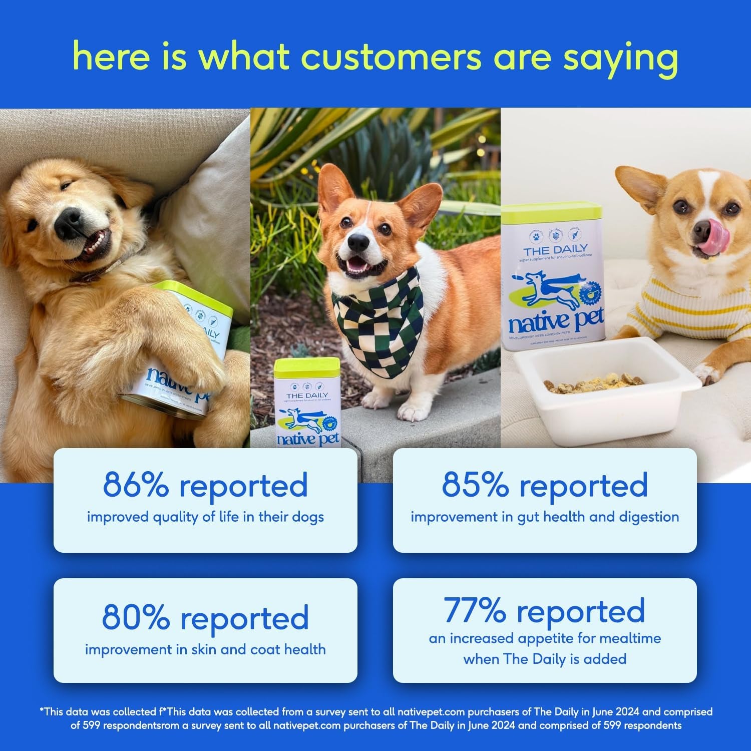 Native Pet Dog Vitamins & Supplements - 11-in-1 Vitamin Powder for Dog Food Topper - Collagen, Glucosamine, Probiotics, Omega & More- Supports Healthy Gut, Mobility & Overall Health - 30 Scoops - USA IMPORT -