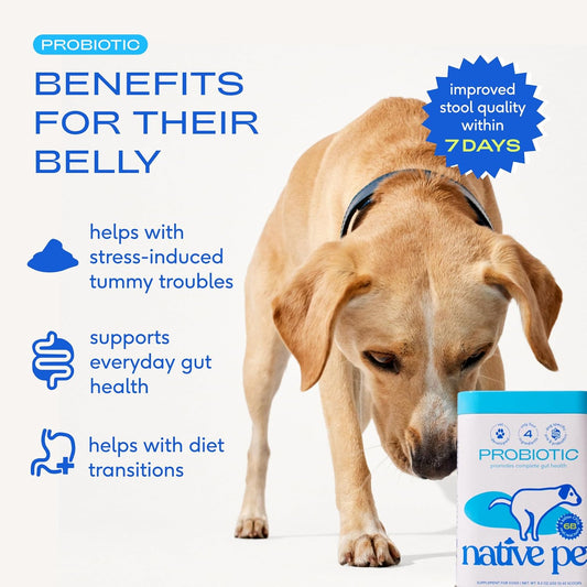 Native Pet Probiotics for Dogs - Dog Probiotics Powder for Digestive Health, Gut Support, & Immune Boost – Vet-Formulated Powder for Maximum Potency with Digestive Enzymes & Prebiotics - 60 Scoops - USA IMPORT -