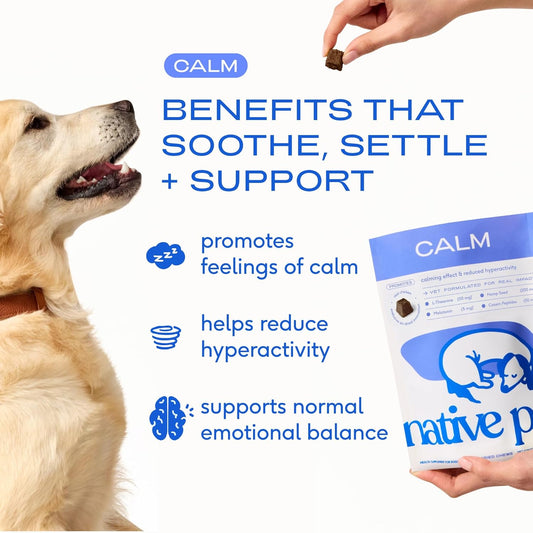 Native Pet Calming Chews for Dogs - Melatonin for Dogs Anxiety Relief - Grain Free All Natural Hemp Calming Treats & L-Theanine Helps Manage Stress & Separation Anxiety - Puppy Sleep Aid - 30 Chews - USA IMPORT -