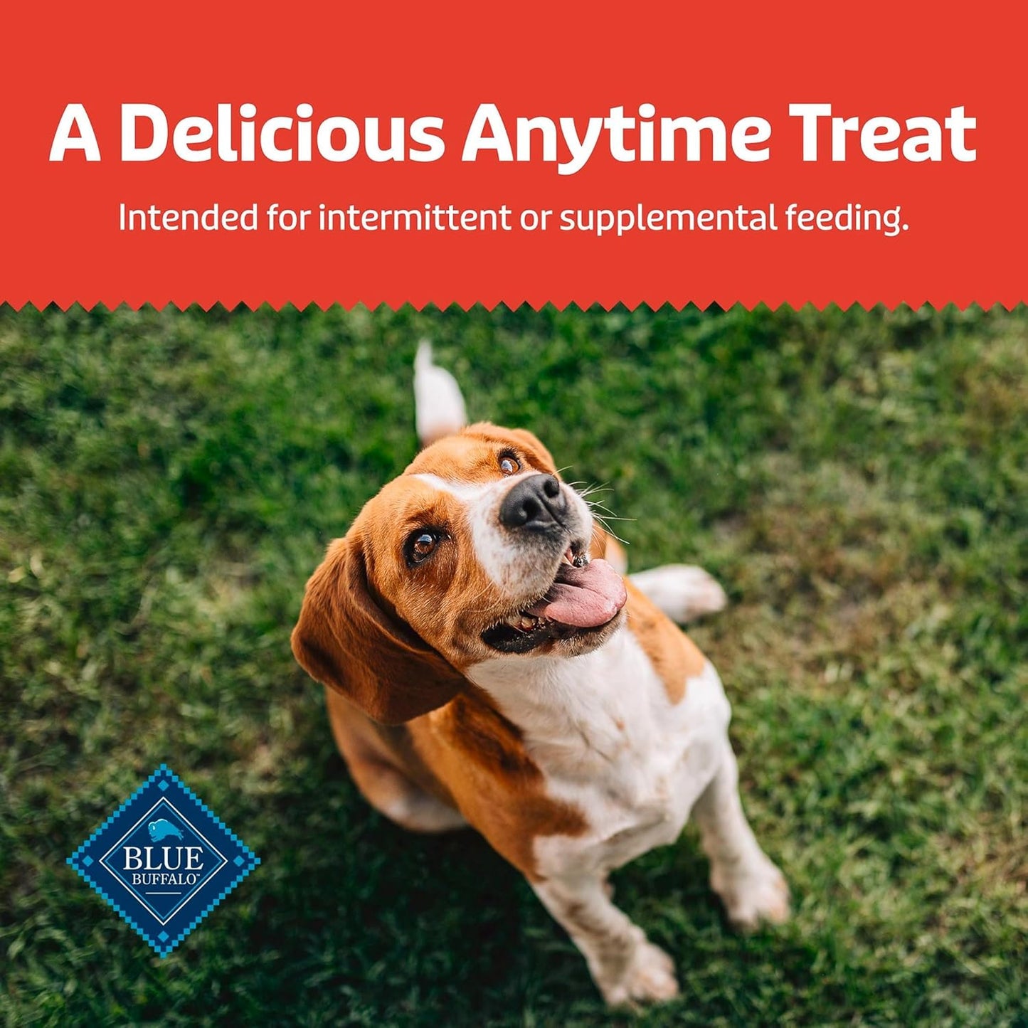 Blue Buffalo Health Bars Oven-Baked with Natural Ingredients Bacon, Egg & Cheese Crunchy Dog Biscuits, 3.5 lbs. - USA IMPORT -