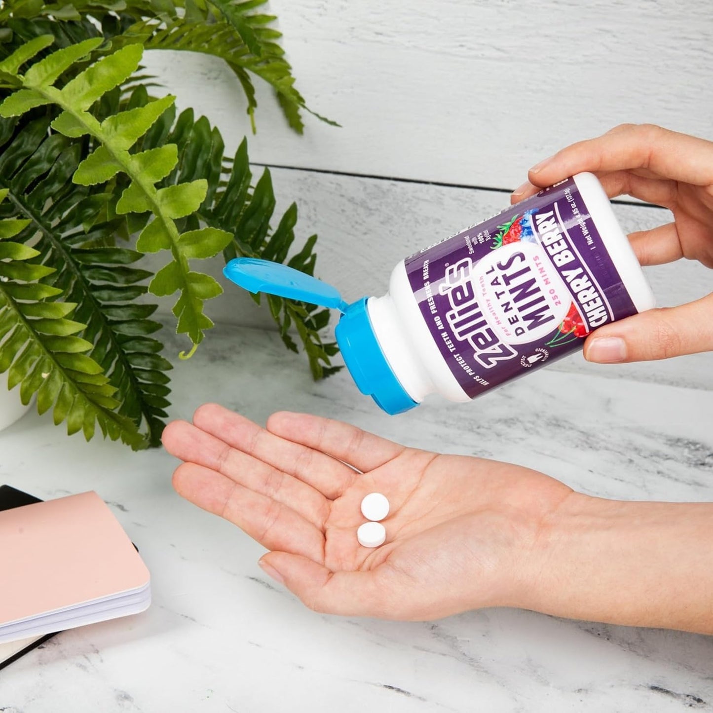 Zellie's | 100% Xylitol Cool Mint Breath Mints | No Aspartame, Gluten Free, Vegan & Kosher (540 Count - Pack of 1) - USA IMPORT -