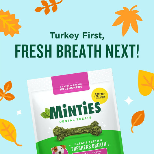 Minties Dental Chews for Dogs, 120 Count, Vet-Recommended Mint-Flavored Treats for Tiny/Small Dogs 5-24 lbs, Dental Bones Clean Teeth, Fight Bad Breath, and Removes Plaque and Tartar - USA IMPORT -