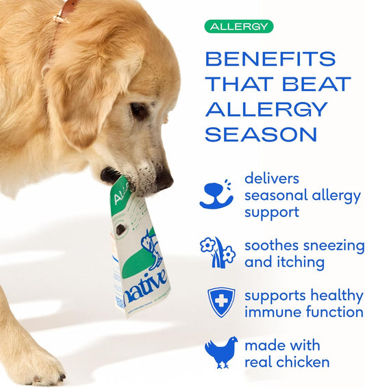 Native Pet Dog Allergy Chews - Dog Allergy Relief with Probiotics and Colostrum for Itchy Skin Relief to Support Seasonal Allergy and Healthy Immune System - All Natural Anti-Histamine - 30 Chews - USA IMPORT -