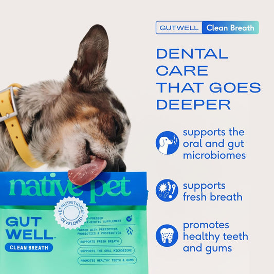 Native Pet GutWell Clean Breath - Dog Breath Freshener & Dog Dental Powder - Teeth Cleaning to Reduce Plaque & Tartar - Promotes Fresh Breath with Targeted Triple-biotic Dental Care Blend - 60 Scoops - USA IMPORT -