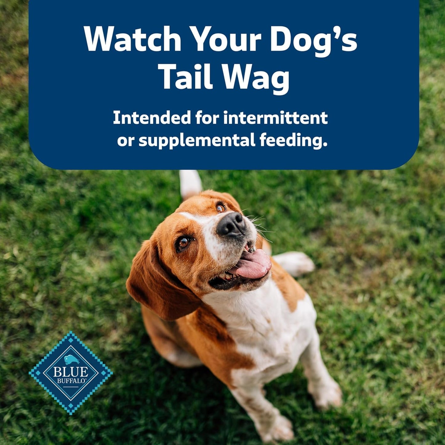 Blue Buffalo Health Bars Oven-Baked with Natural Ingredients, Apples & Yogurt Crunchy Dog Biscuits, 3.5 lbs. - USA IMPORT -