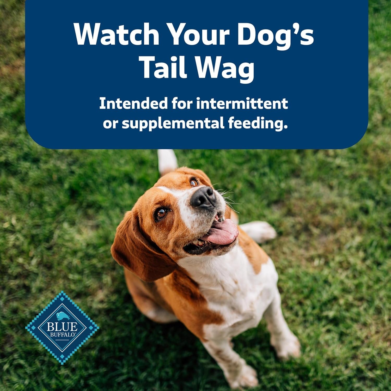 Blue Buffalo Health Bars Oven-Baked with Natural Ingredients, Apples & Yogurt Crunchy Dog Biscuits, 3.5 lbs. - USA IMPORT -